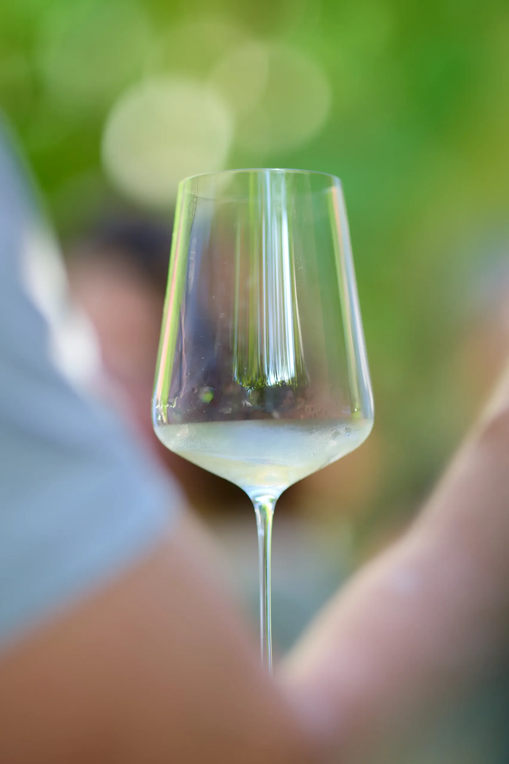 Accords mets et vins - verres et spiritueux en table