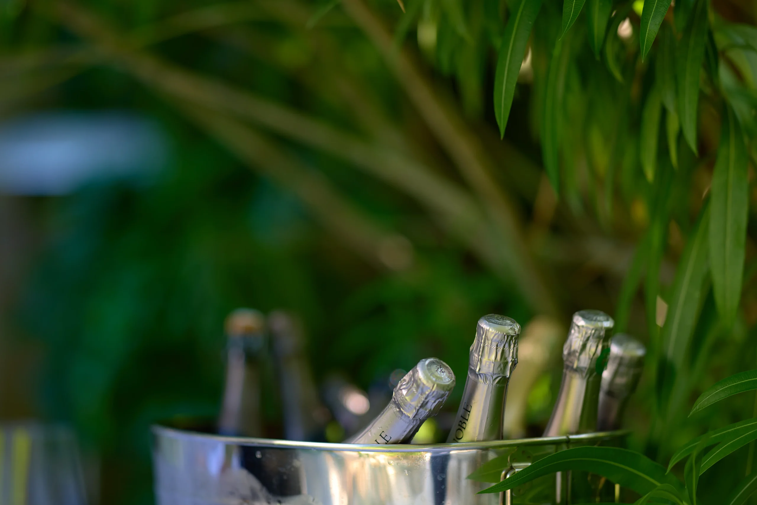 Accords mets et vins - verres et spiritueux en table