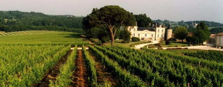 View of the Château La France estate