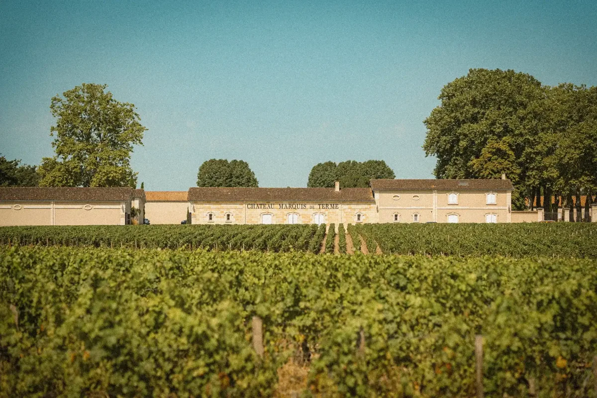 Château and vineyard: Château Marquis de Terme