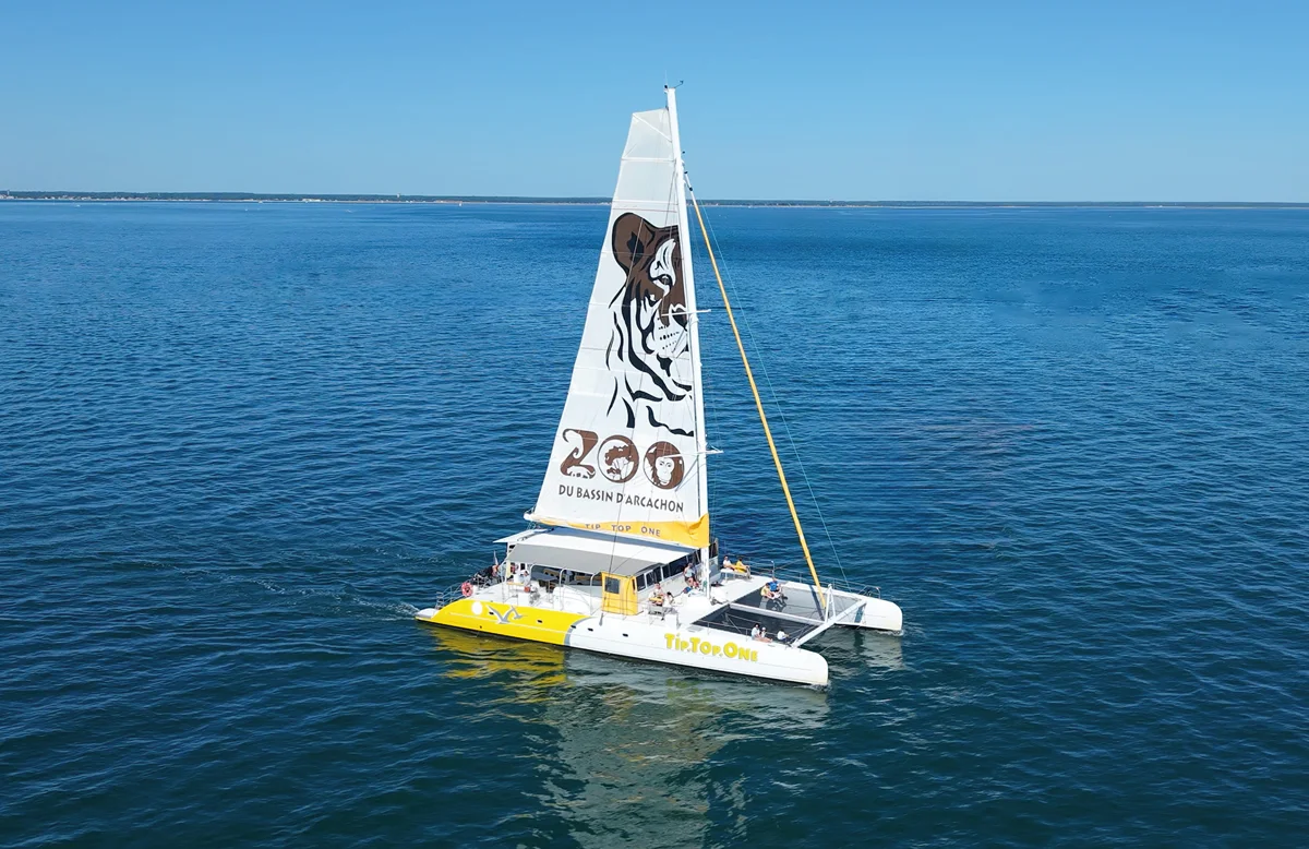 Tip Top One catamaran on Arcachon Bay