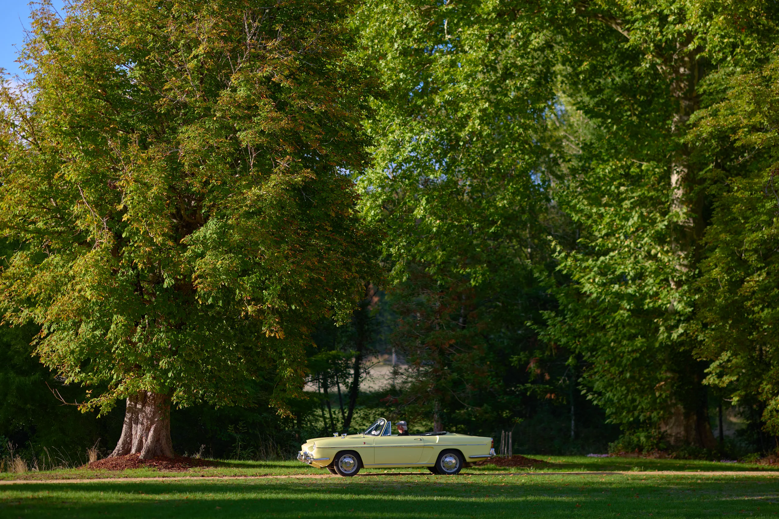 The wedding car in the grounds