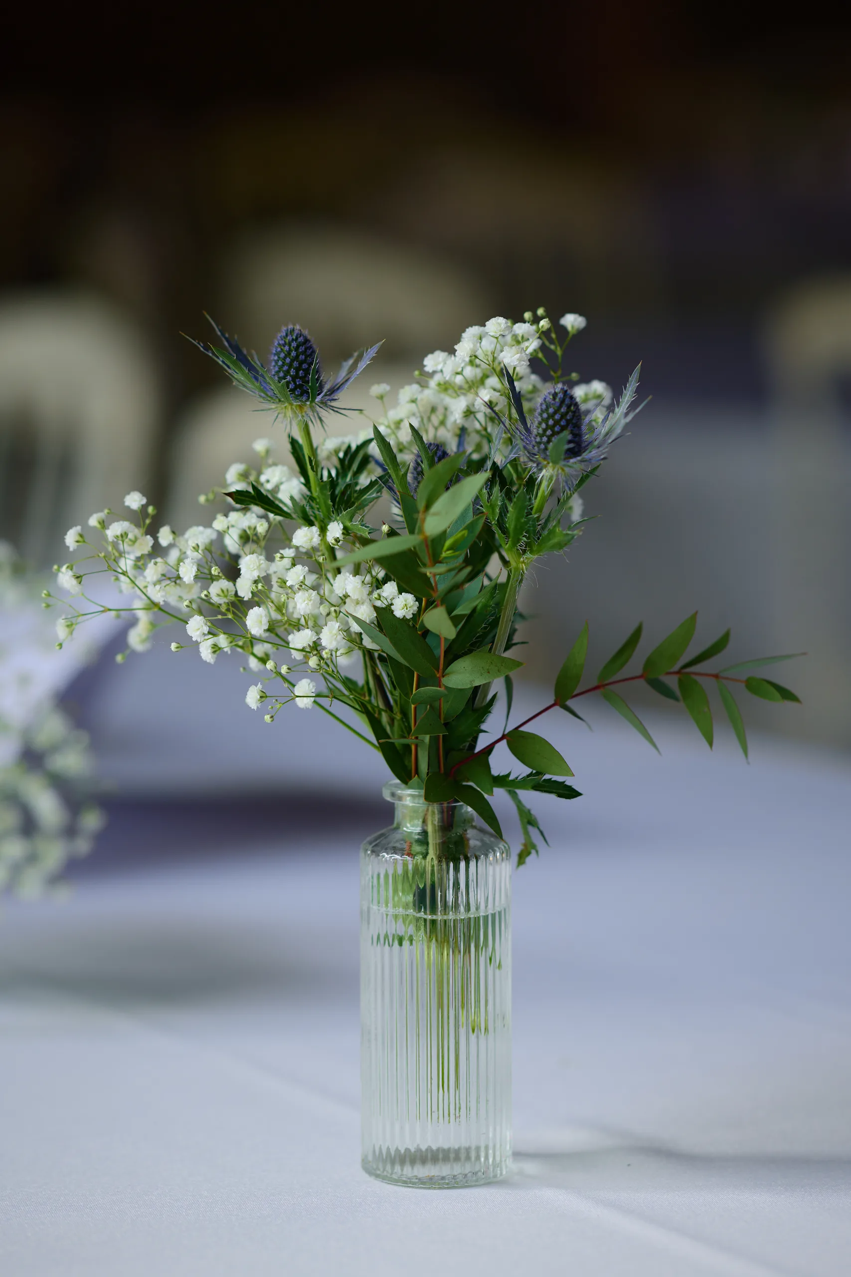 The bride's gown in the morning light