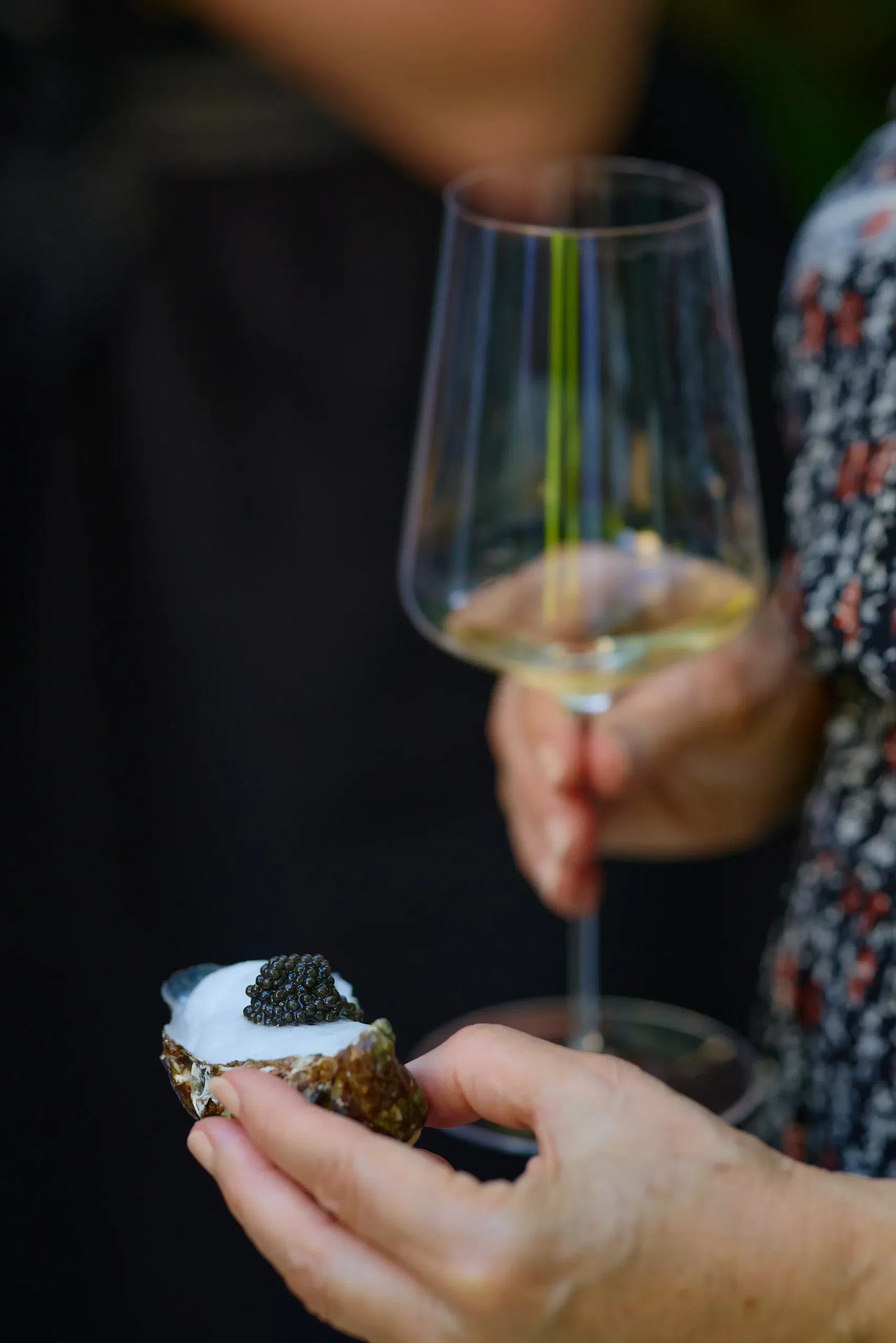 Soirée gastronomique raffinée - dégustation champagne et caviar