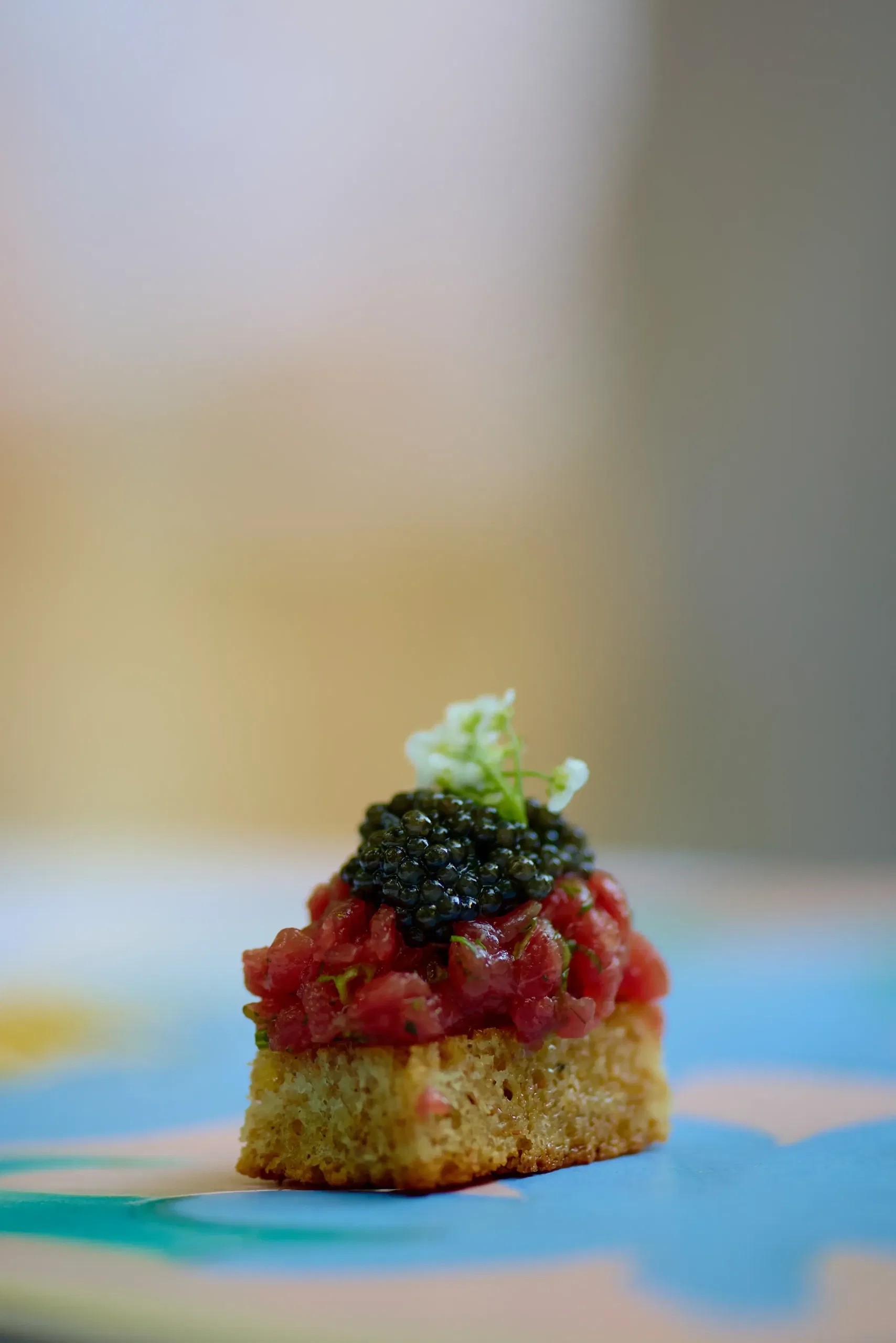 Soirée gastronomique raffinée - dégustation champagne et caviar