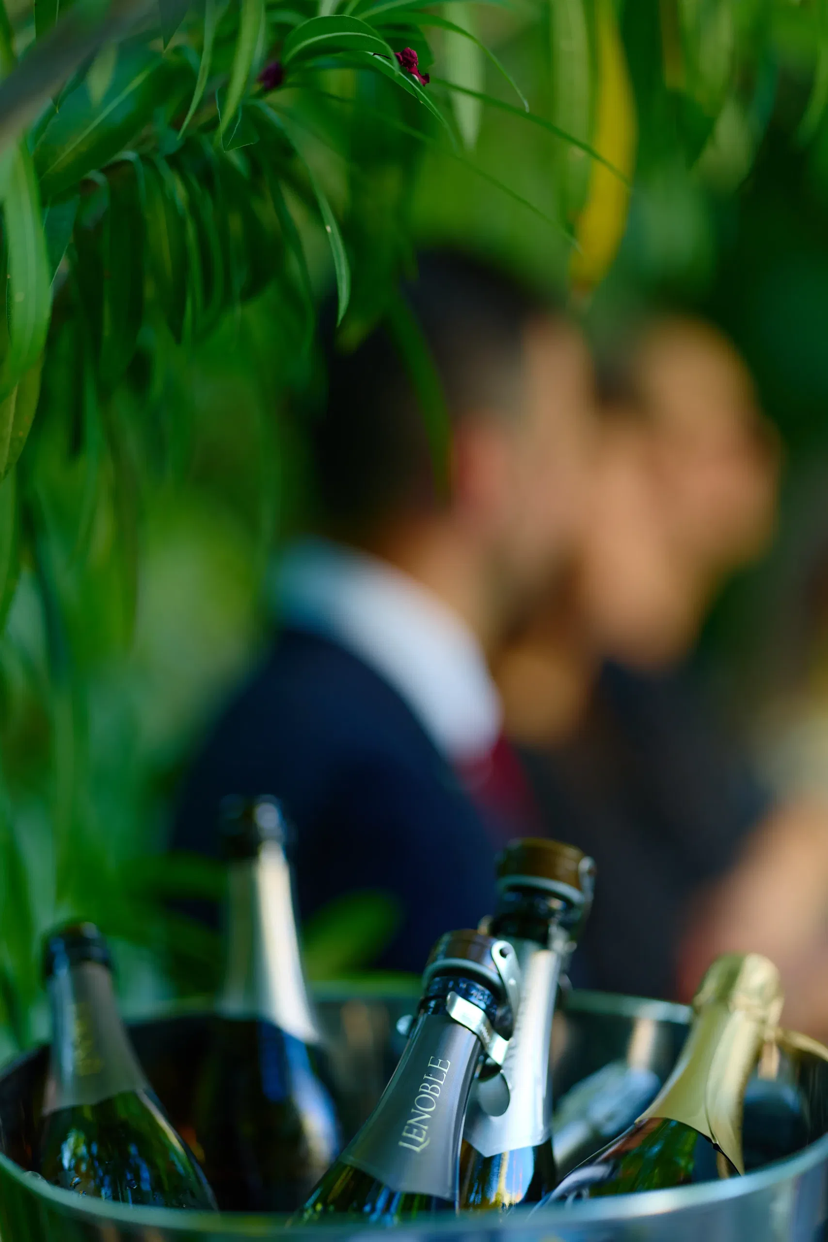 Soirée gastronomique raffinée - dégustation champagne et caviar