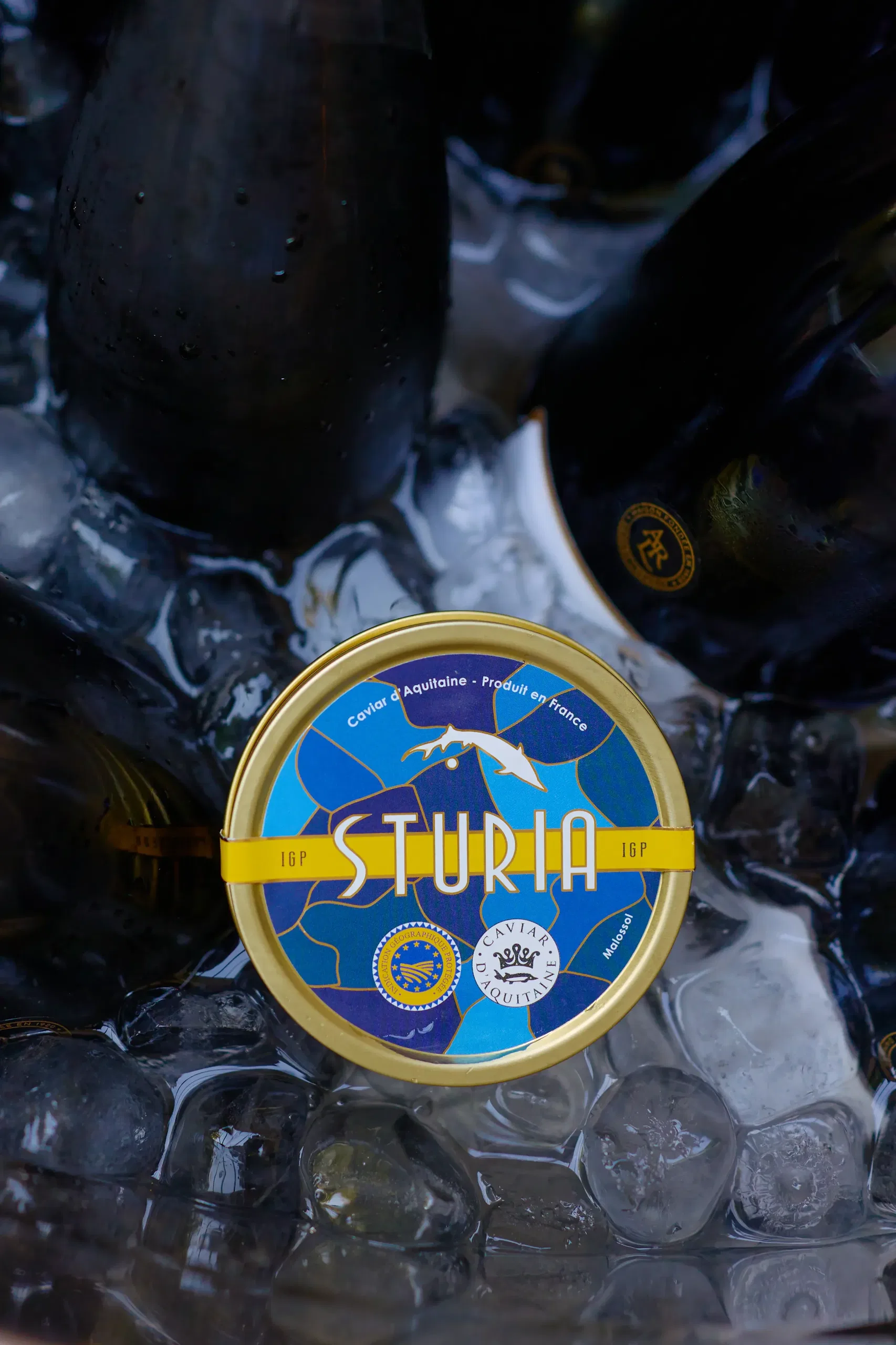 Soirée gastronomique raffinée - dégustation champagne et caviar